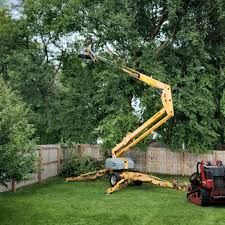 Best Stump Grinding and Removal  in Arbury Hls, IL